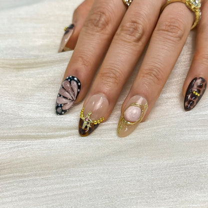 Gilded Tortoise