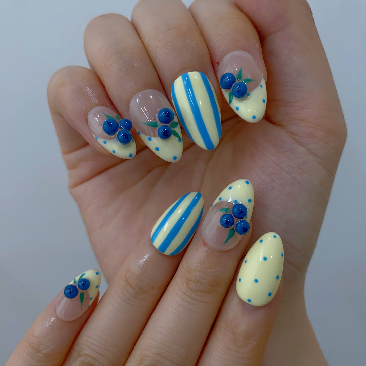 Blueberry Picnic